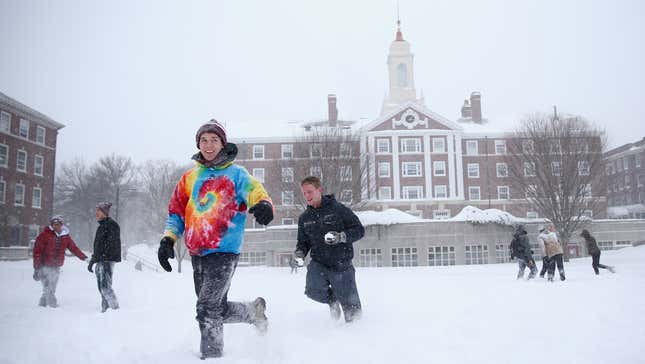 All the White Sons Go to Harvard