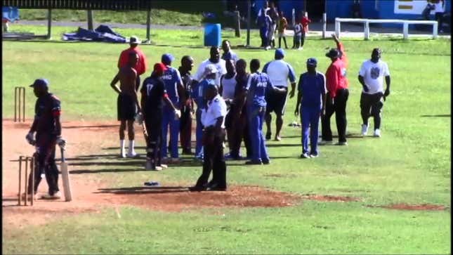 Cricket Fight!