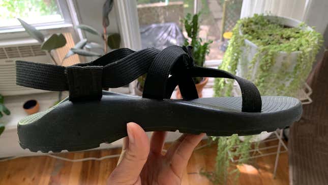 Look at that arch support!!!