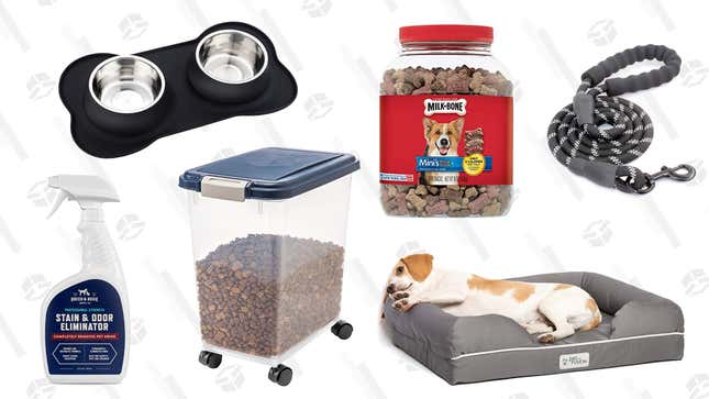 Image for article titled Everything You Need If You&#39;re Adopting Your First Dog