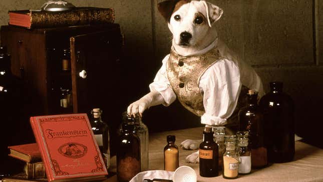 PBS Dog Show Wishbone Getting a Live-Action Universal Film