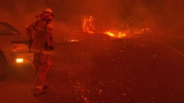 The Influencer Responsible for Gender Reveal Parties Has a Few Regrets