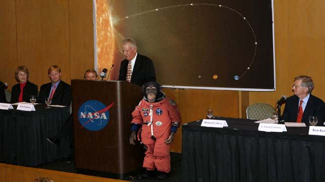 Image for article titled NASA Announces Plans To Launch Chimpanzee Into Sun