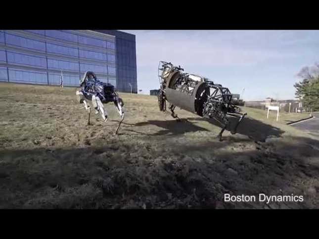 Hey Man, Maybe Don't Kick That Robot Dog