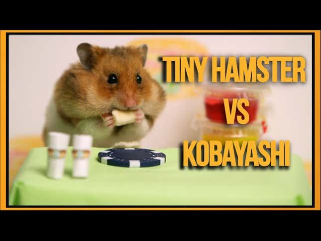 A Tiny Hamster Eats Tiny Hot Dogs In A Tiny Eating Competition