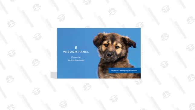 

Wisdom Panel Essential | $75 | Chewy 