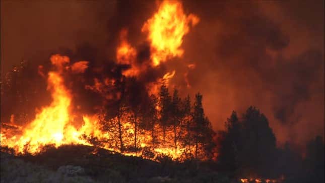 This Boeing 747 Is The World's Biggest Firefighting Beast<em></em>