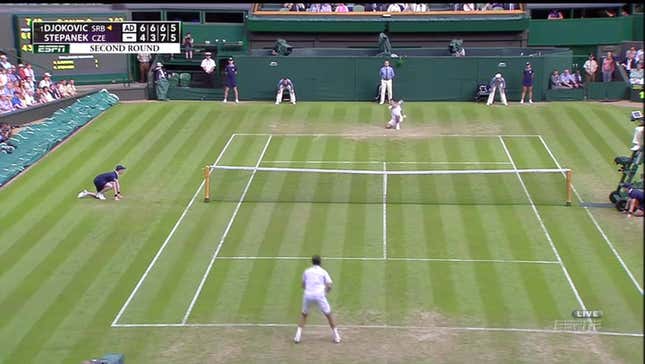 Novak Djokovic Gives Point To His Opponent Instead Of Replaying It