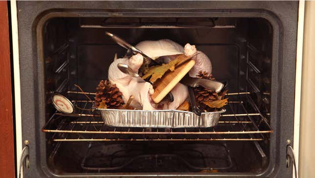 Cook Your Thanksgiving Turkey To Perfection with Verona Appliances