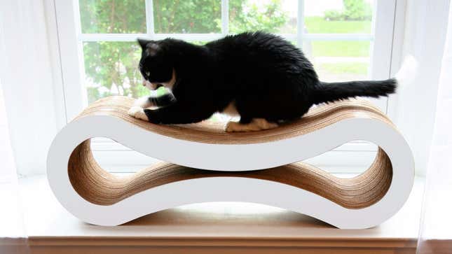 PetFusion Cat Lounger | $42 | Chewy and Amazon | Multiple colors available