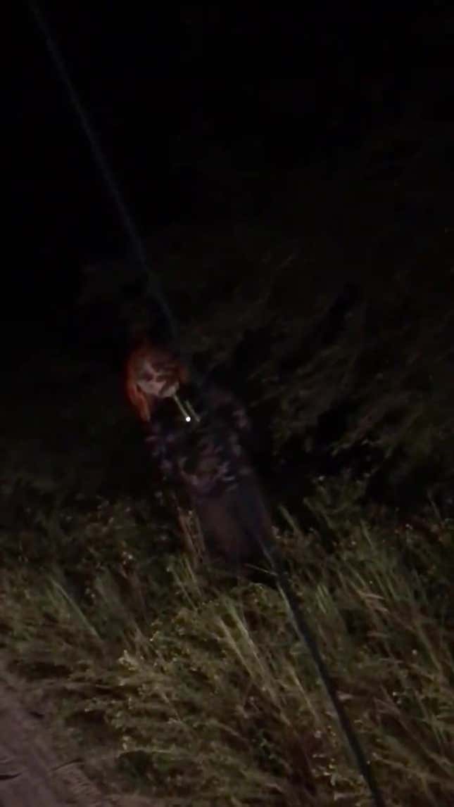Here Are The Best And Most Ridiculous Evil Clown Safety Alerts