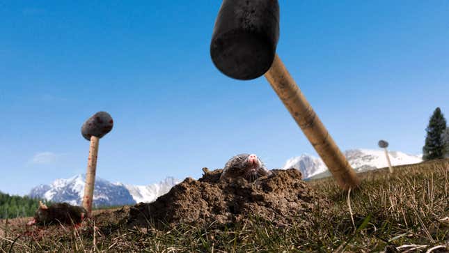Image for article titled Department Of Interior To Control Rising Mole Population By Releasing Mallets Into National Parks