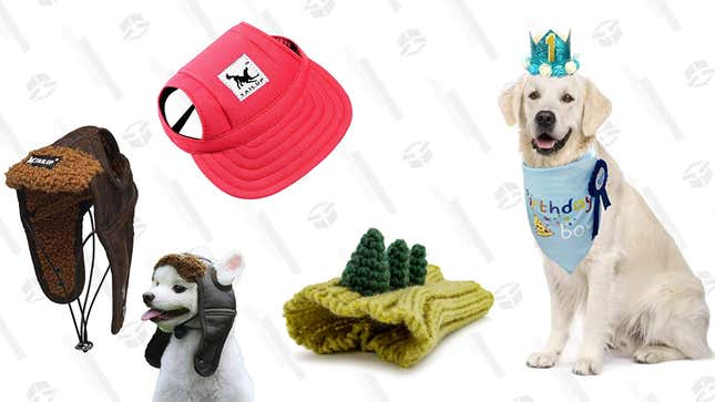 Image for article titled Should I Buy My Dog One Of These Hats?