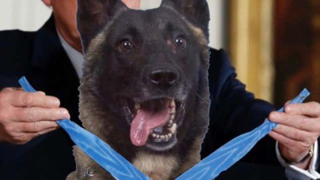 Is The Trump Dog Real? A Very Serious Debate