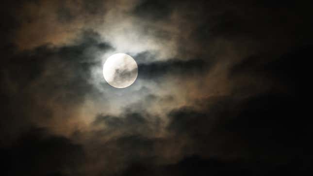 Read a Halloween-Themed Fantasy Novel That Perfectly Captures the Horrors of 2020
