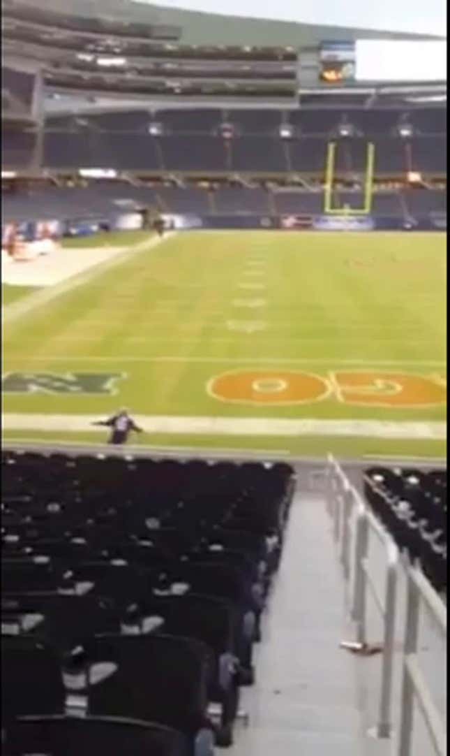 Here's Video Of The Idiot Ravens Fan On The Field In Chicago