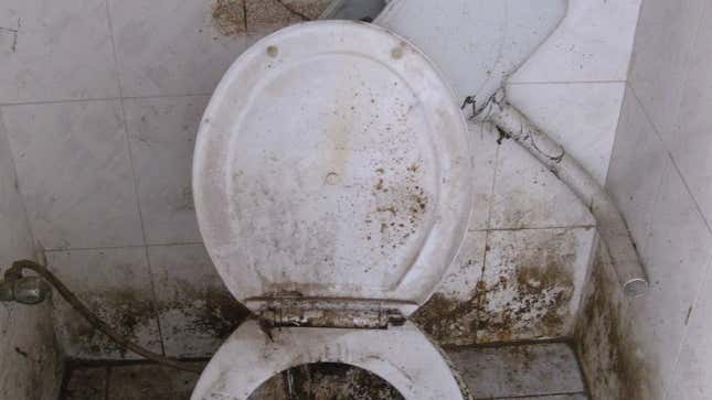 Image for article titled Here, Have Some Jalop-Appropriate Zoom Backgrounds To Use And Cherish