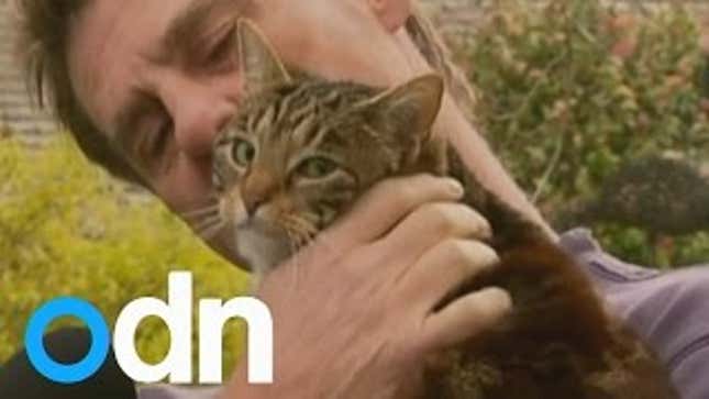 Another Awesome Hero Cat Saves Man From Deadly House Fire