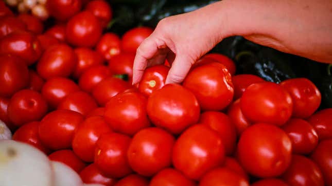 Image for article titled This Tomato Drama Is *Chef's Kiss*