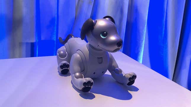 Image for article titled Sony&#39;s Robot Dog Aibo Will March Its Paws to American Homes in September for $2,900 a Pup