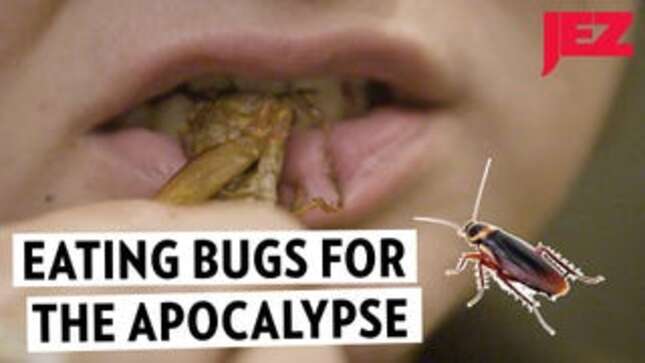 We Ate a Feast of Bugs to Get a Leg (or Six) Up on the Apocalypse