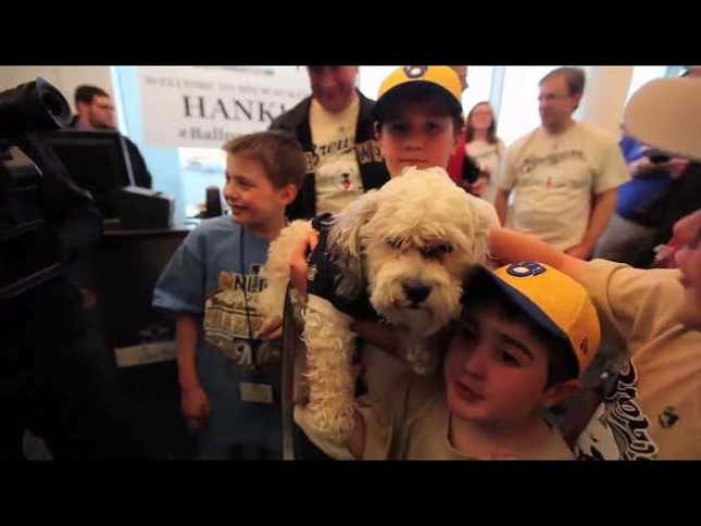 Hank The Dog Gets A Hero's Welcome In Milwaukee
