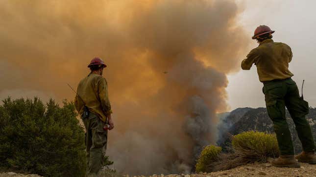 Firefighters monitor the advance of the Bobcat Fire in the Angeles National Forest on September 10, 2020 north of Monrovia, California.
