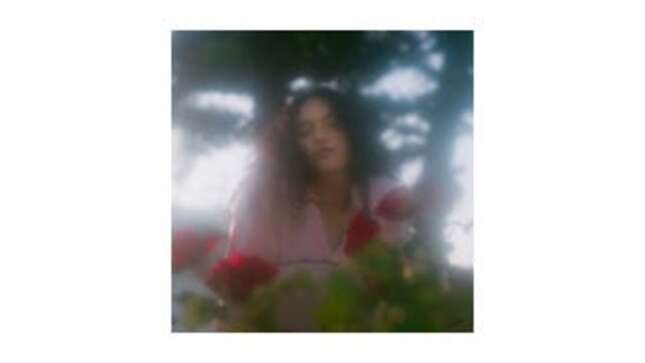 Y/N: Empress Of Tells You to Go to Hell and Lana del Rey Loves the Heat