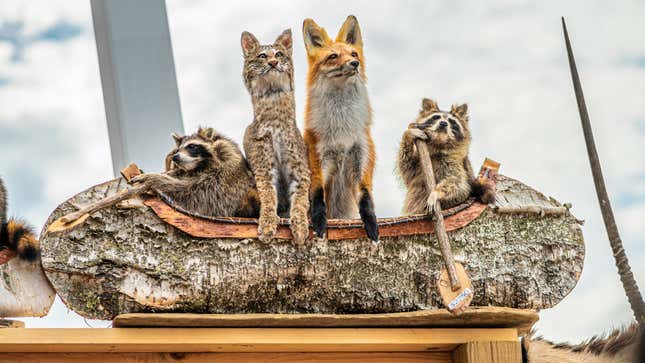 A paddle-through taxidermy exhibit