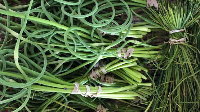 Image for article titled How to use garlic scapes in your cooking