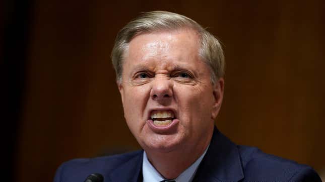 Hissing dumpster possum (pictured) receives billionth term as Senator