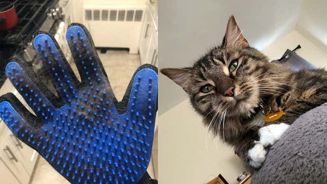 Delomo Pet Grooming Glove