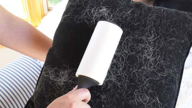 If a lint brush isn’t up to the task, a lint roller can remove huge amounts of lint and pet fur in just a few seconds.