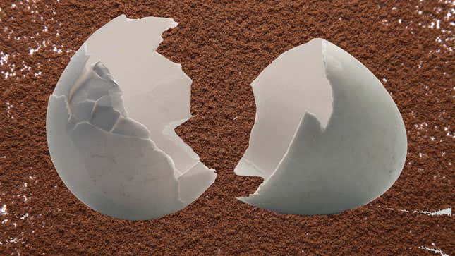 Image for article titled These tips for reusing coffee grounds and eggshells will make you feel like a real homesteader
