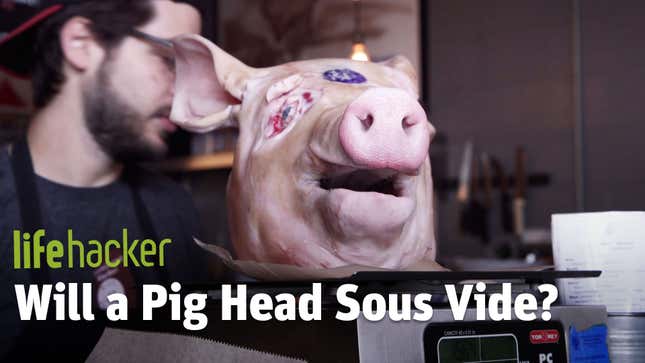<i>Will It Sous Vide?</i>: The Head of a Pig