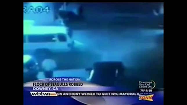 News Anchor Randomly Drops Expert <em>GTA</em> Reference