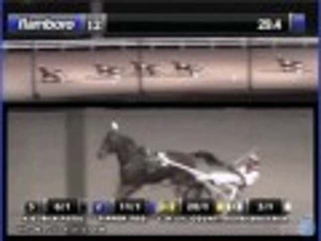 Two Racehorses Die In Head-On Collision