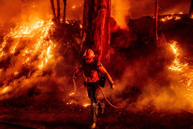 Image for article titled It's Great That Politicians Are Fighting About California Wildfires On Twitter