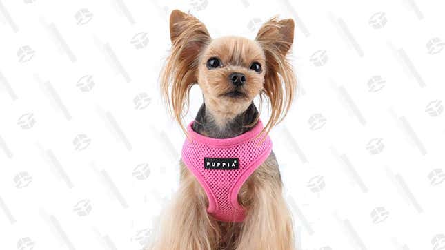 The Puppia Soft Dog Harness has an adjustable strap, that makes it the perfect fit for those tiny dogs who seem to be too small for most other harnesses.