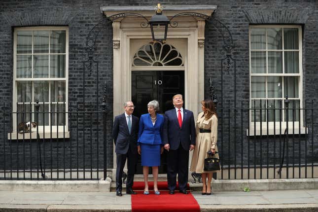Image for article titled Make the Cat Prime Minister