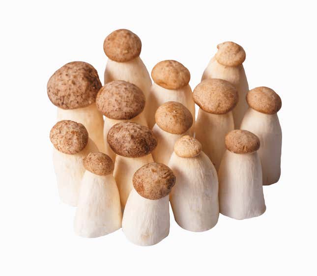 Image for article titled For Your Consideration: The Royal Trumpet Mushroom