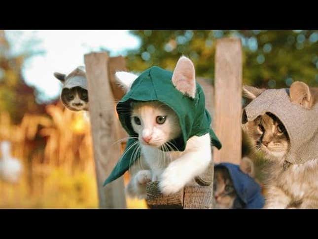 You Had Me At '<i>Assassin's Creed</i> With Kittens'