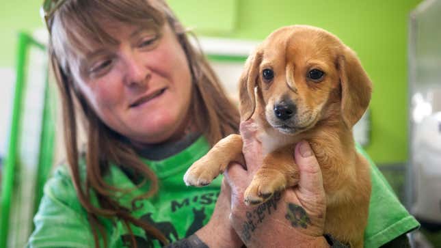 Image for article titled The Puppy Is Not A Metaphor
