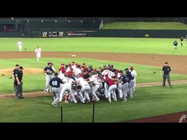 Wild Brawl Breaks Out At Minor League Baseball Game