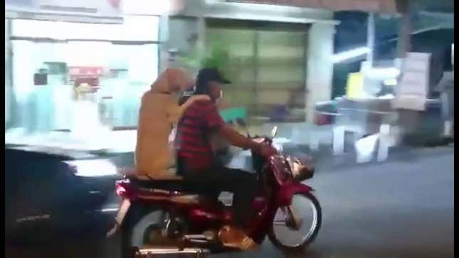Guy's Dog Rides On The Back Of His Scooter Holding His Umbrella