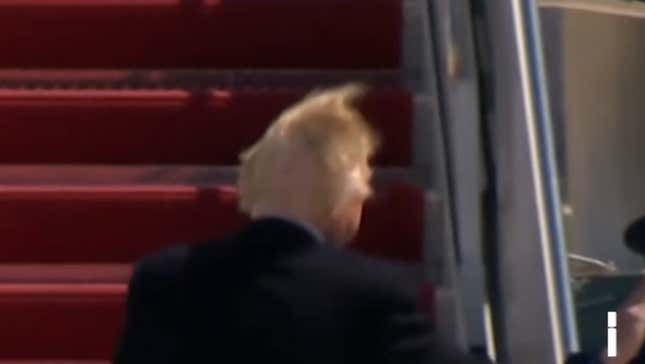 Windswept Honey Bun Boards Presidential Aircraft