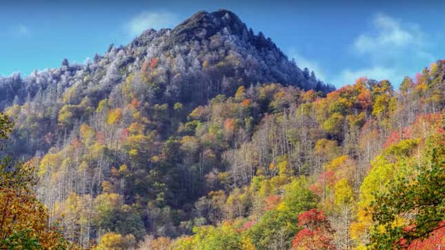 Great Smoky Mountains National Park