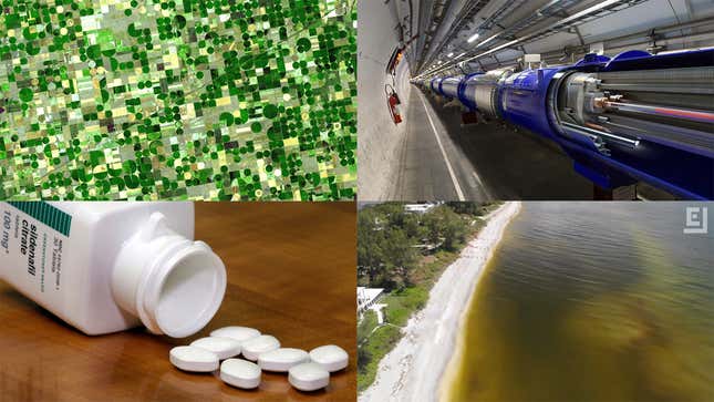 Image for article titled Bioweapons, Viagra, Wind Farms, and the Apocalypse: Best Gizmodo Stories of the Week
