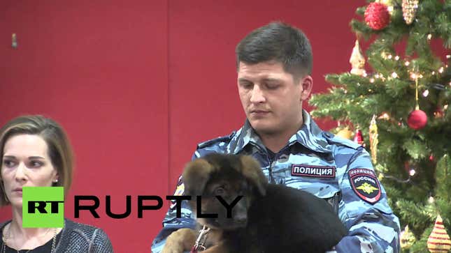 Russia Gives France Puppy Named Dobrynya to Honor Diesel the Fallen Police Dog