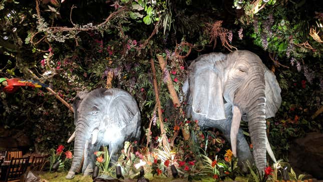 Elephants.